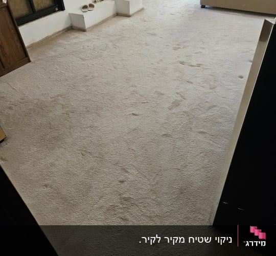שטיח בהיר בחדר שינה עם מיטה ורהיטים
